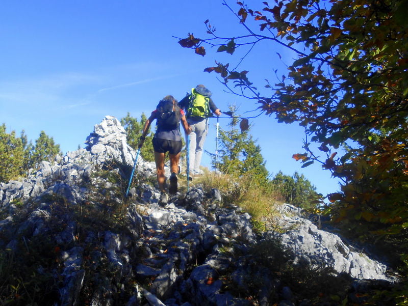 Mont de la Buffaz, dans les Bauges (1660 m)