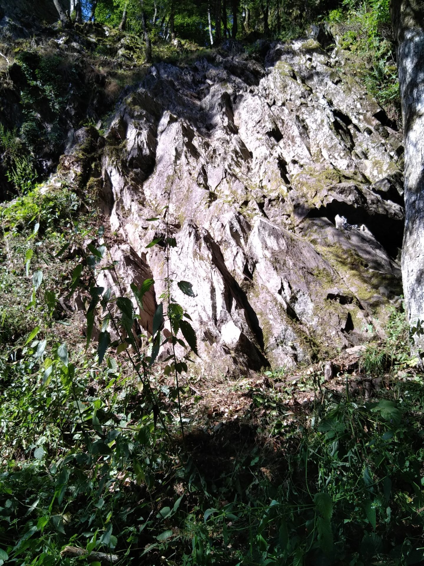 Nettoyage secteur débutants