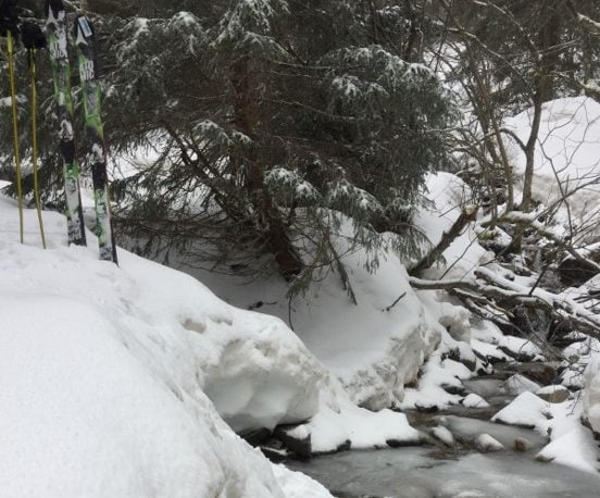 Tentative au Rognier