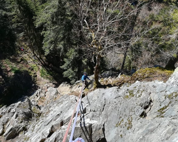 Brossage, effeuillage, balayage