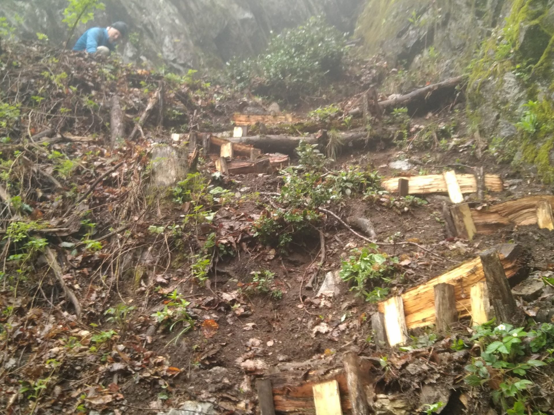 Réfection des marches