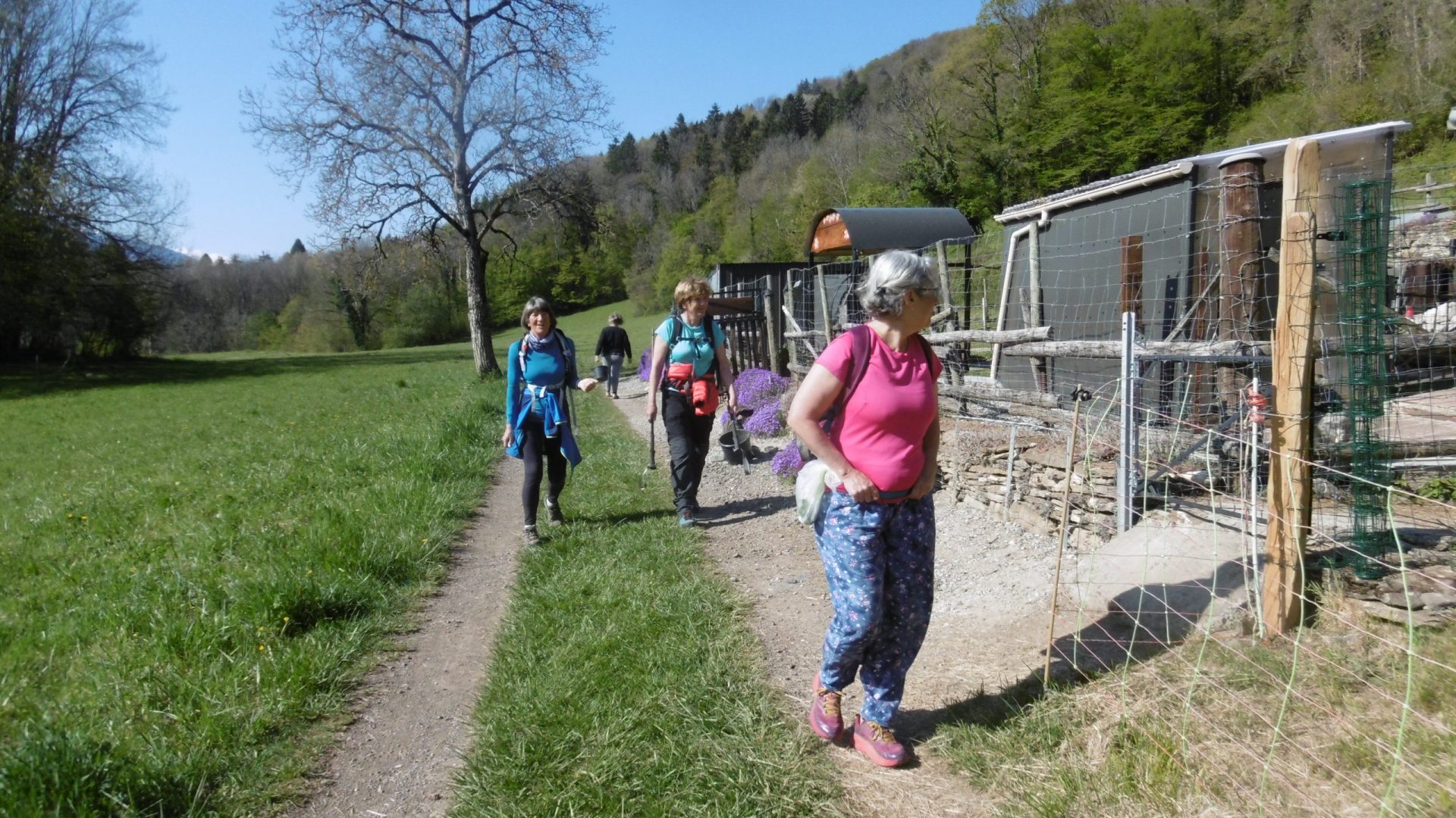 Circuit des Tours de Montmayeur