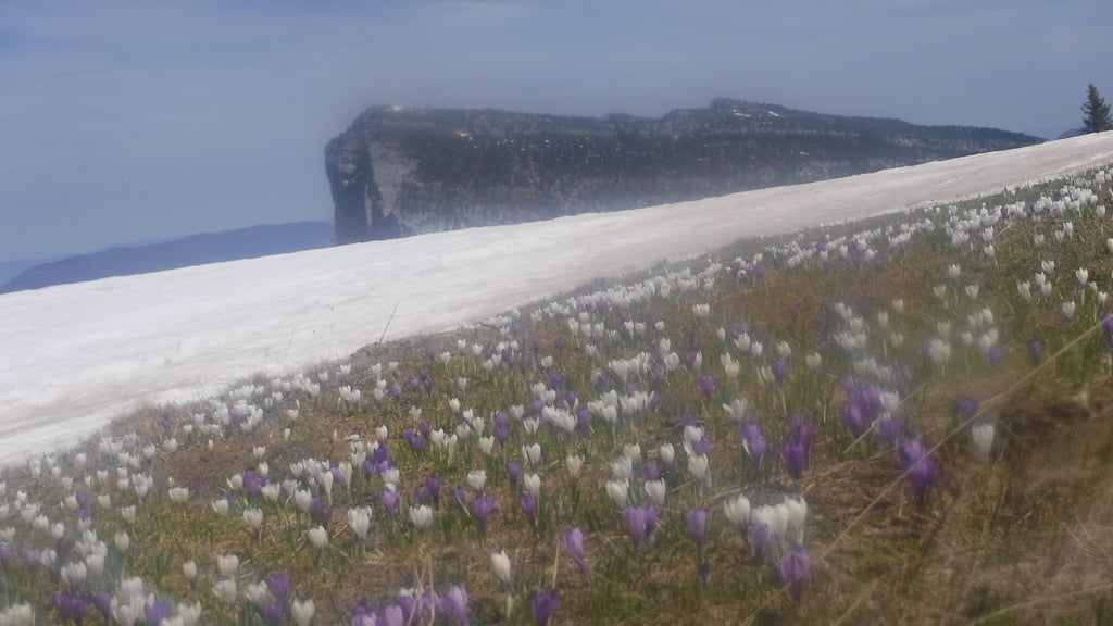 Croix de l&rsquo;Alpe (1821 m)