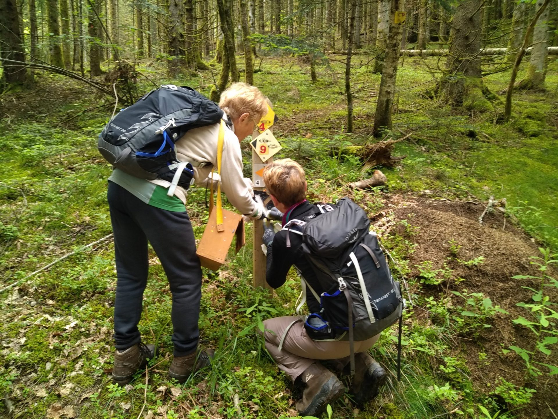 Vérification balisage