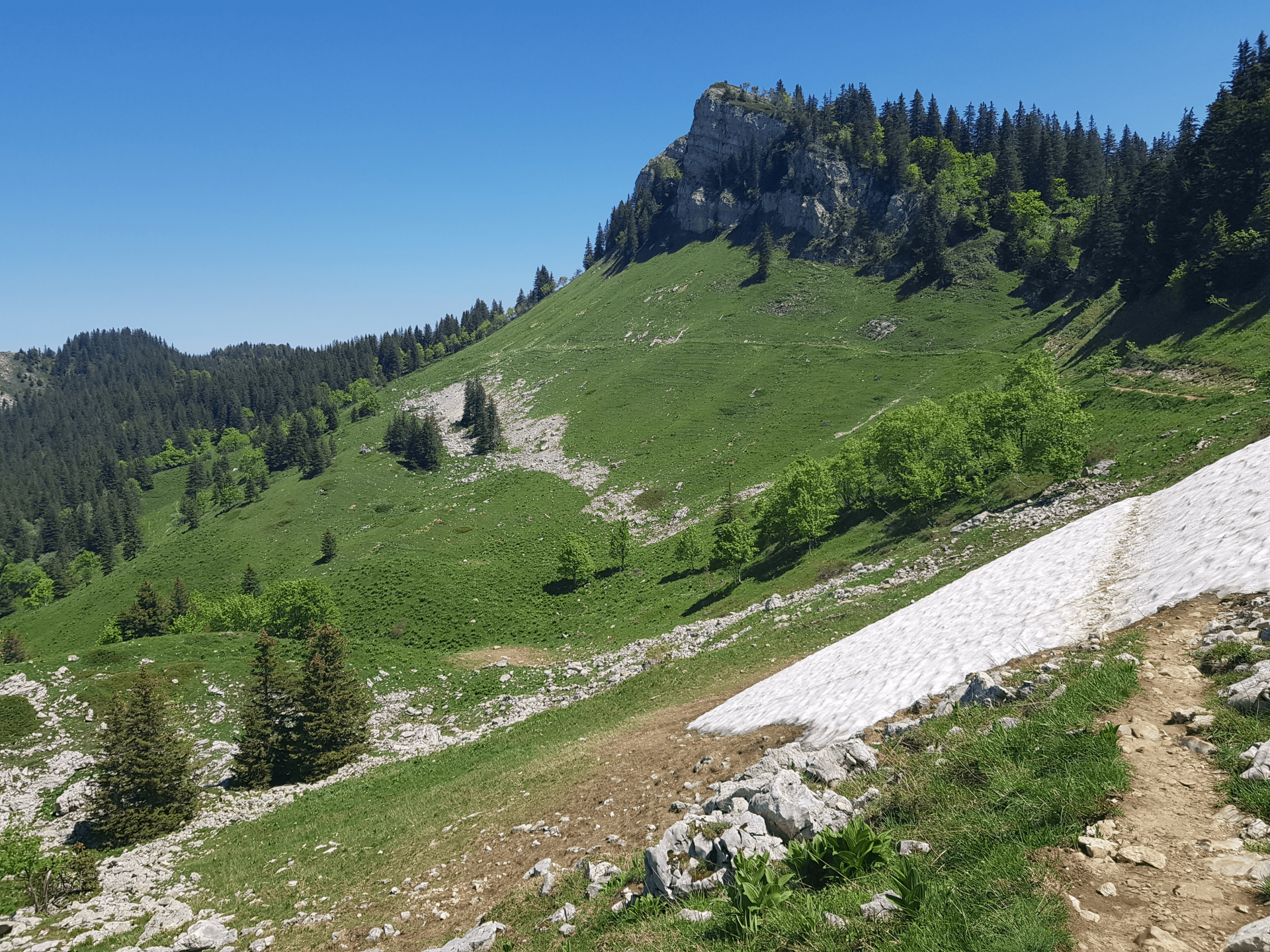 La Petite Vache en boucle depuis le Chartreuse de Curière, 15 juin 2021