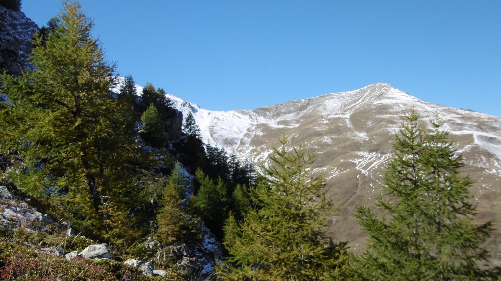 Paroi du Midi (2564 m)