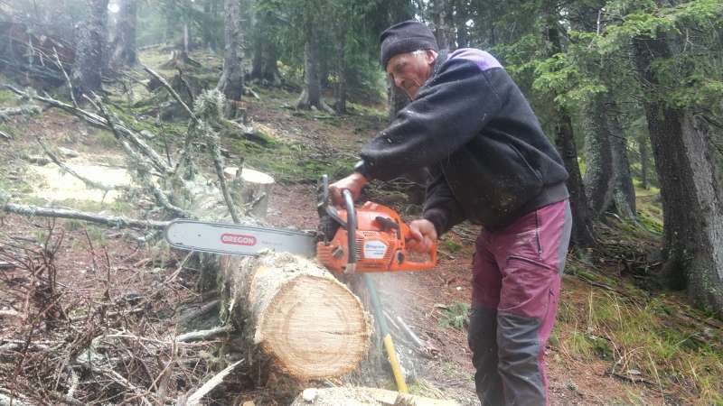 Bois et entretien à la Perrière