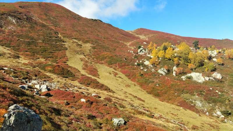 Peinture au Gargoton