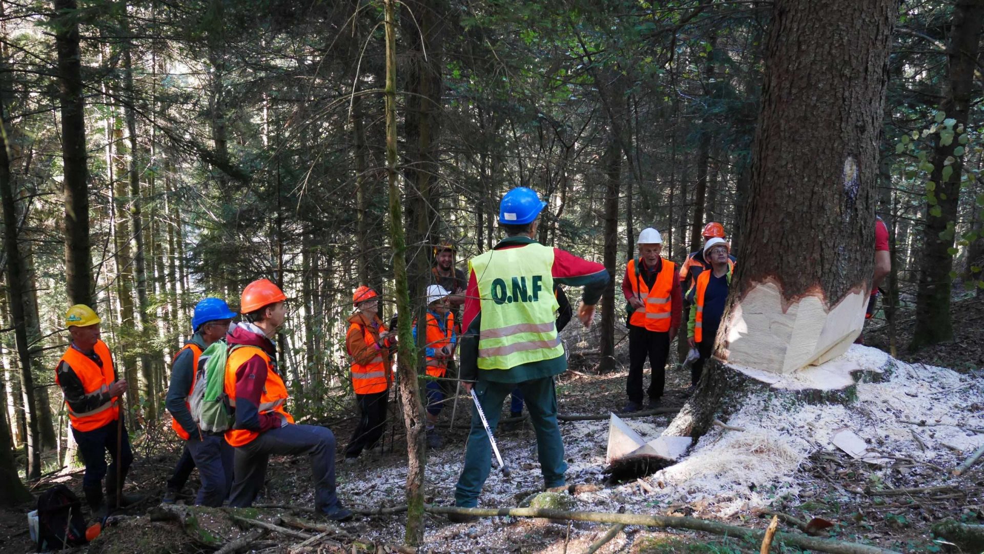 Retour sur la sortie « Vis ma vie de bûcheron »