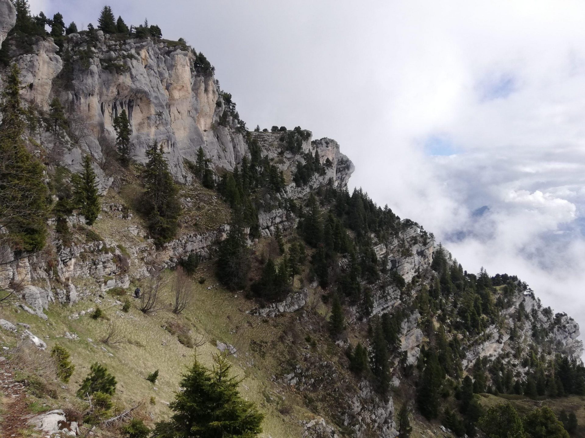 Sangle de Belles Ombres