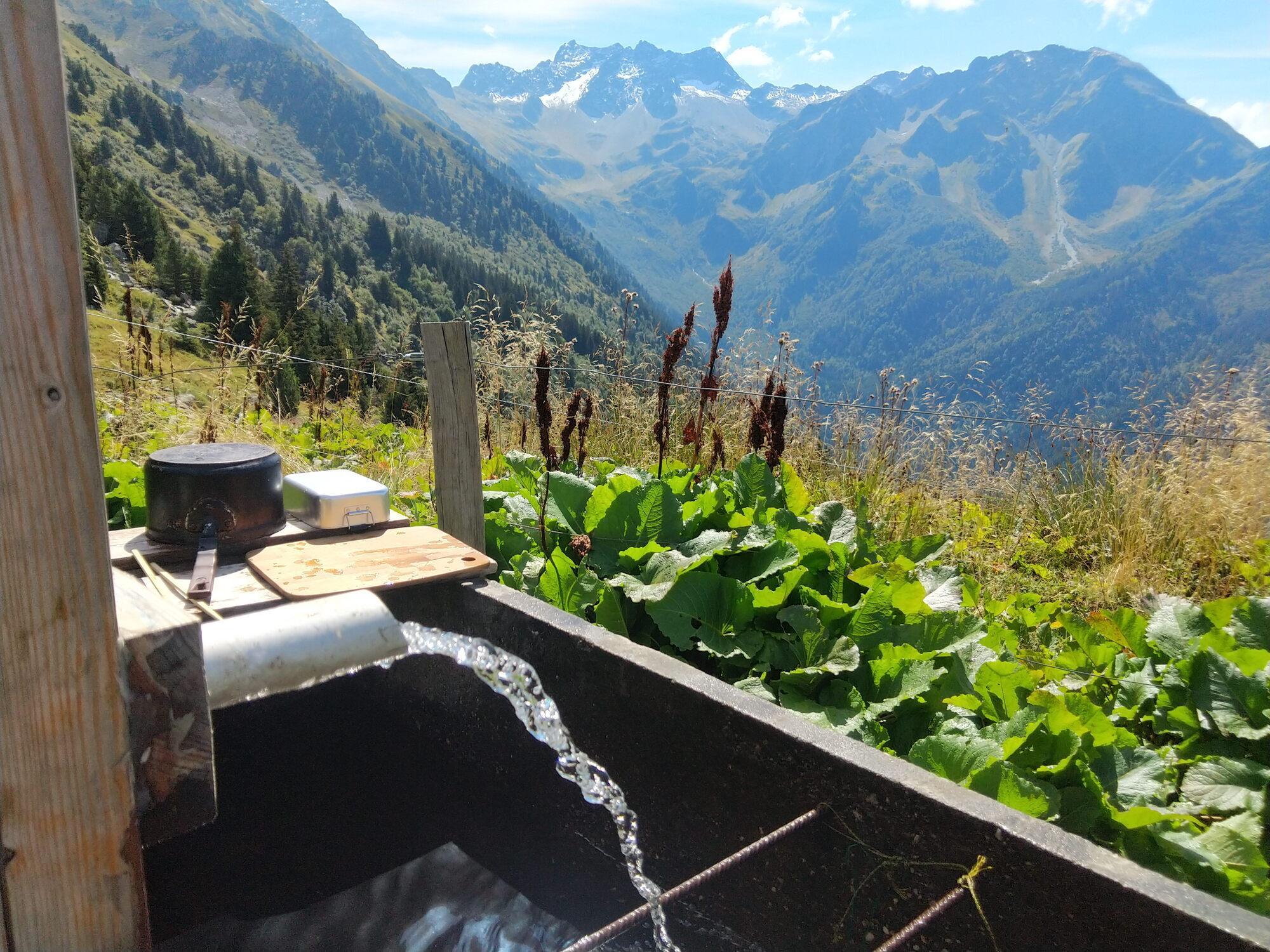 Traitement des punaises de lit à La Perrière