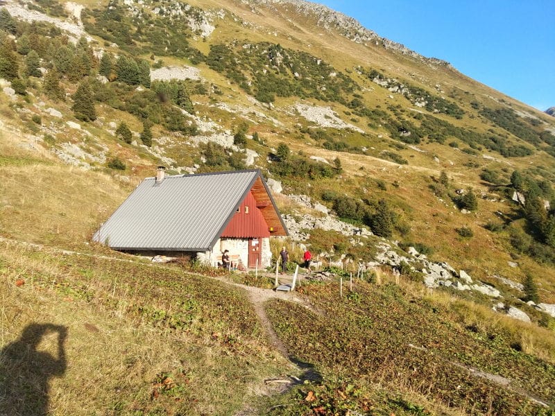 Bucheronnage à La Perrière