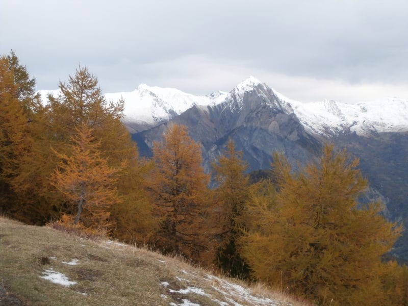 Randonnée des Mélèzes, Albanne