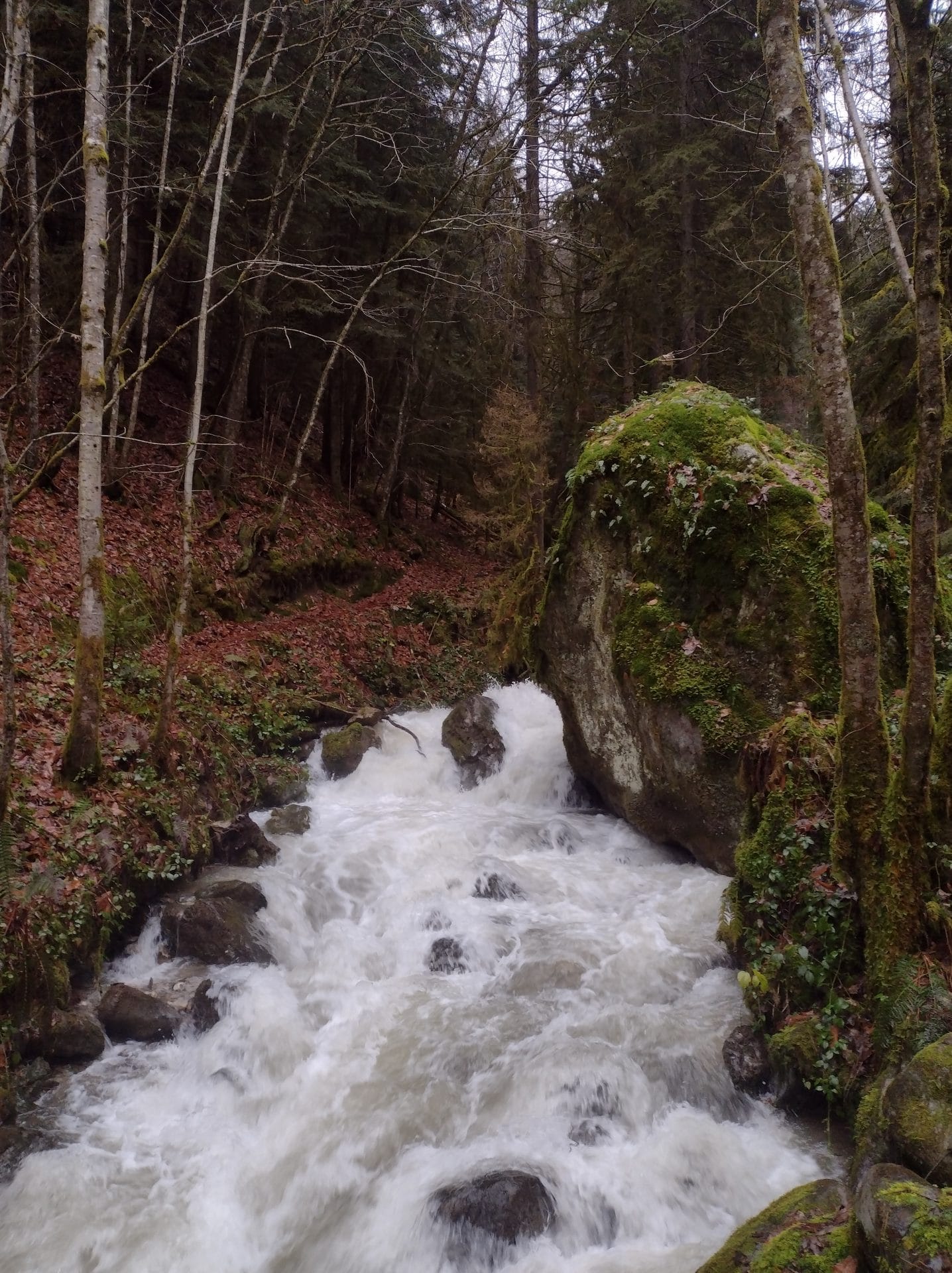 Sortie rando à Presle