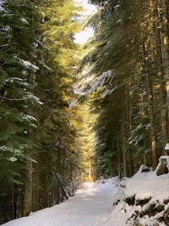 Champ Sylvestre enneigé