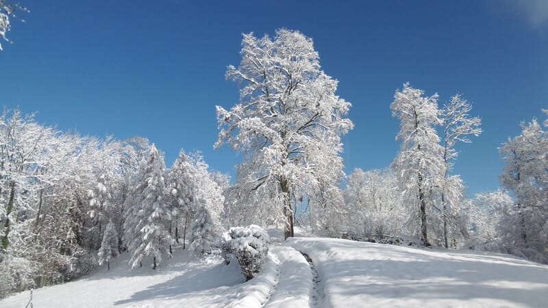 Meilleurs vœux pour 2024
