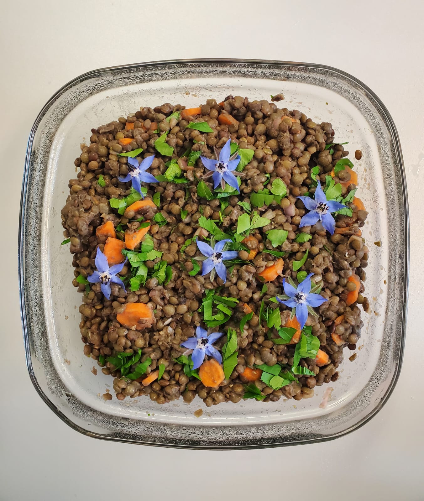 Réunion de bureau du 28 mai 2024