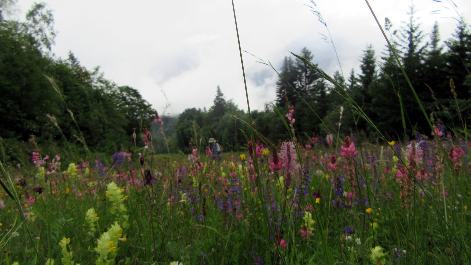 Passage de l&rsquo;Aulp du Seuil (1864 m)