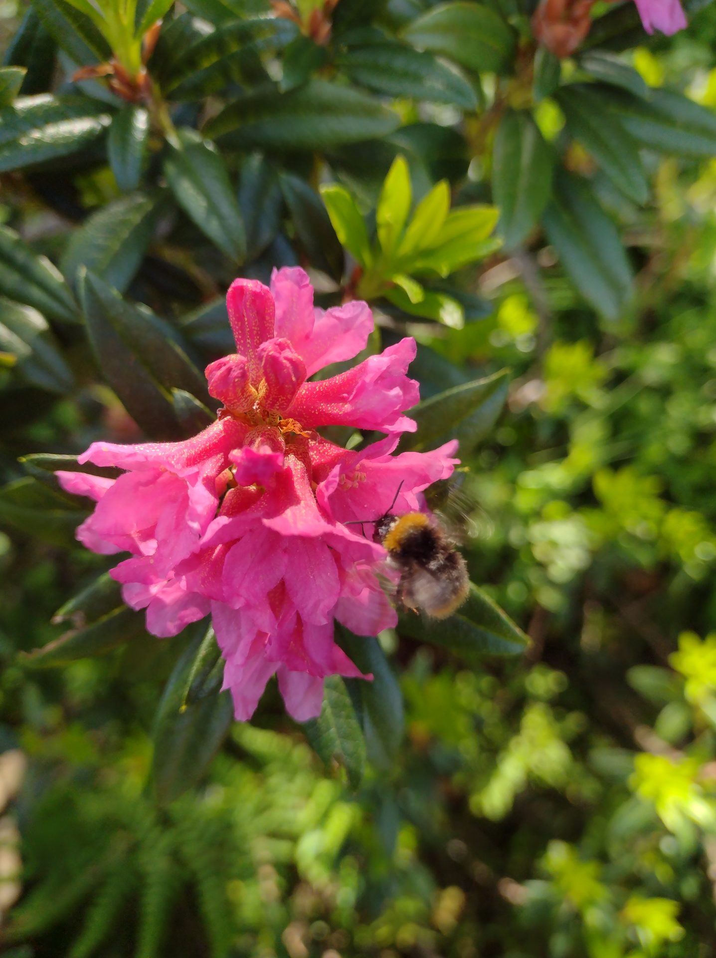 Compte -rendu de la réunion de bureau du 22 aôut 2024