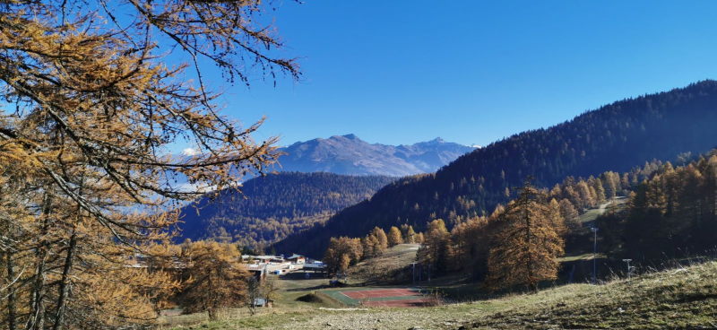 Les mélézins de Montricher-Albanne