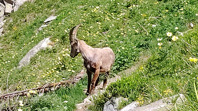 Vers le col de la Frèche