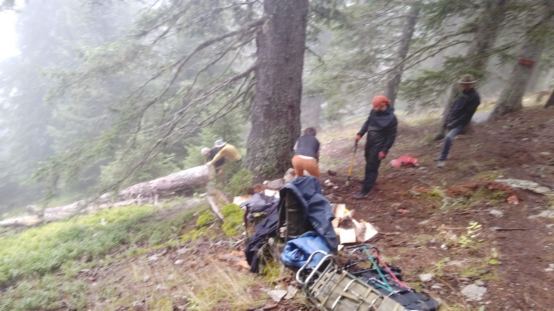 Bois et travaux à la Perrière