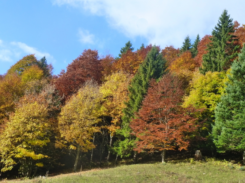 Col d&rsquo;Orgeval, dans les Bauges.