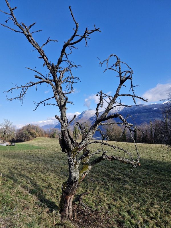 Tour des Tours et… détours !